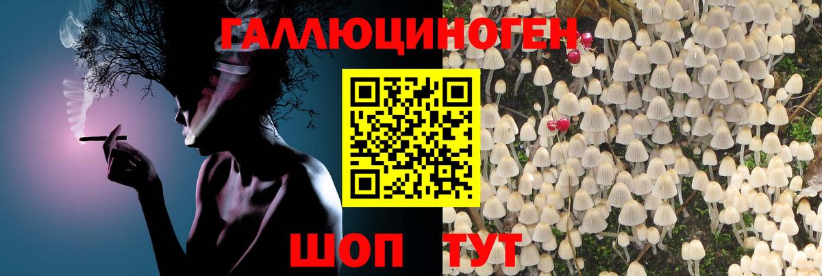 Псилоцибиновые грибы мухоморы  Вход с VPN  Химки 